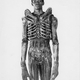 Image for article titled Test footage from Alien was way creepy, even with the xenomorph out of costume